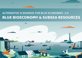 Alternative scenarios for blue bioeconomy and subsea resources in the Gulf of Finland and Archipelago Sea